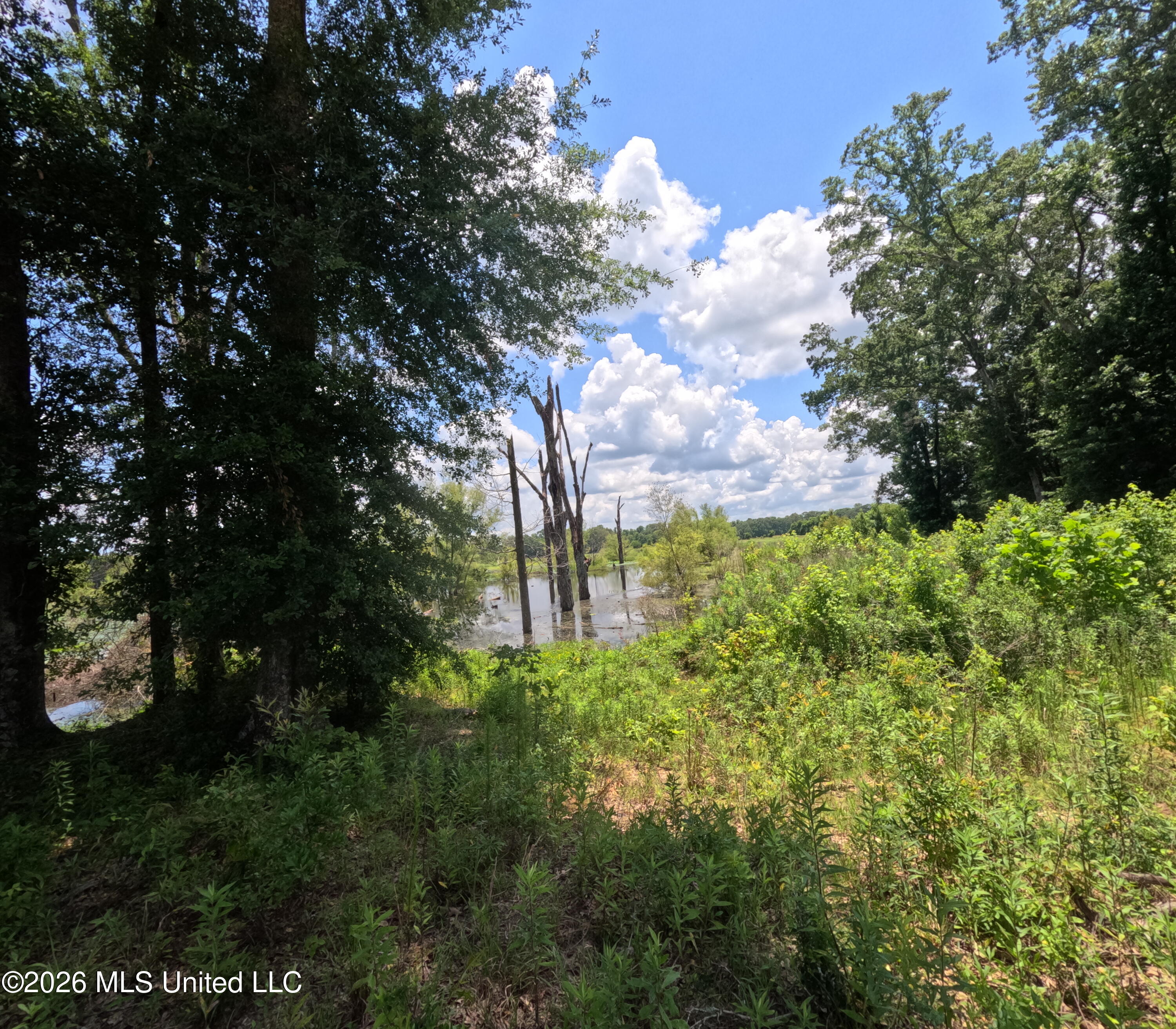 Old Port Edwards, MS 39066 - Photo 18 of 65 GOPR2265