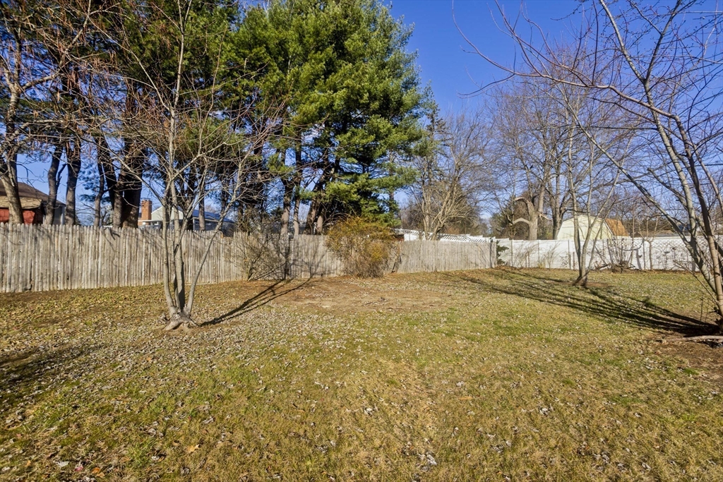 118 Keddy Street Springfield, MA 01109 - Photo 17 of 19 a view of a yard with wooden fence