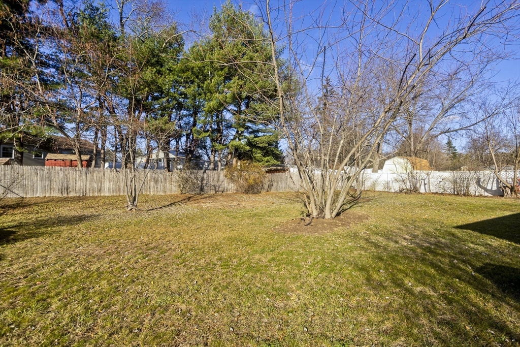 118 Keddy Street Springfield, MA 01109 - Photo 2 of 19 a view of yard with tree