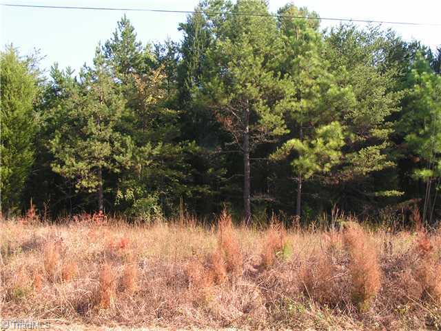 0 Coltrane Street Trinity, NC 27370 - Photo 1 of 1 Land/Lot.
