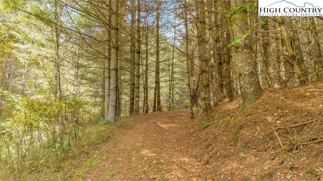 a view of a bench with chair in front of it