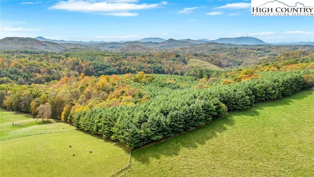a view of a yard with an outdoor space