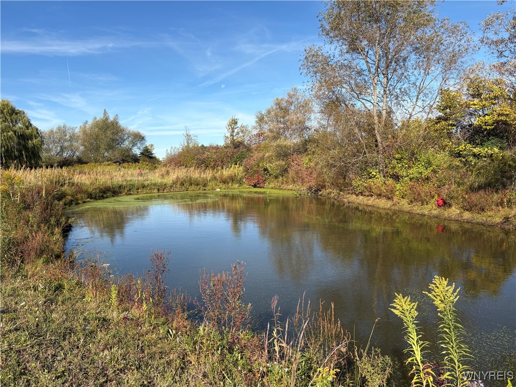 5343 Berry Road Pomfret, NY 14063 - Photo 17 of 46