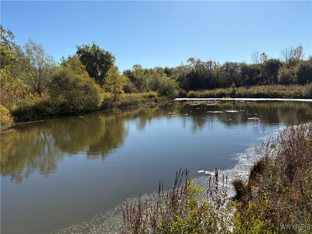 5343 Berry Road Pomfret, NY 14063 - Photo 19 of 46