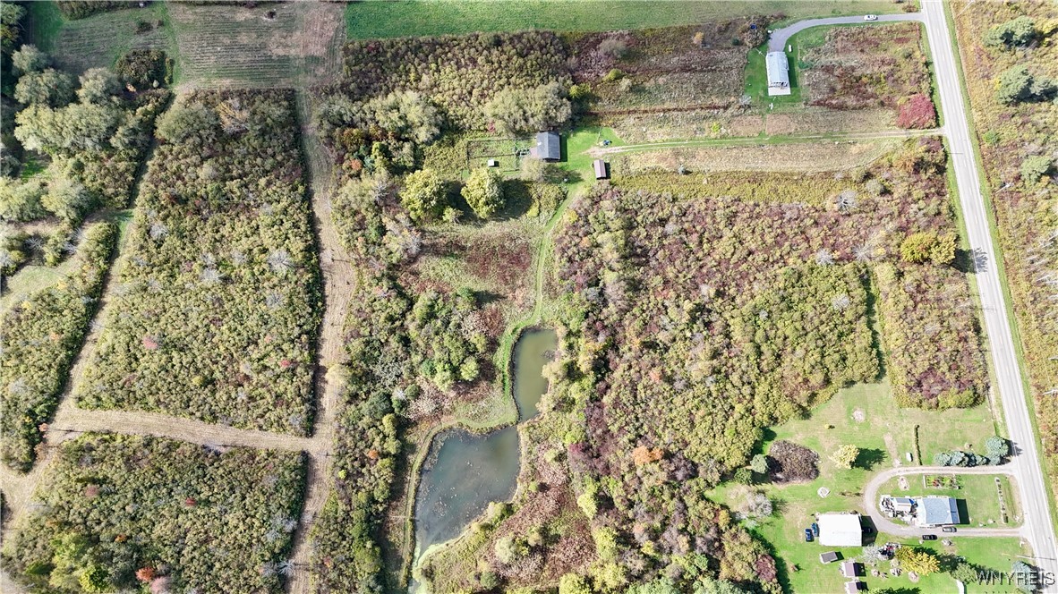 5343 Berry Road Pomfret, NY 14063 - Photo 24 of 46