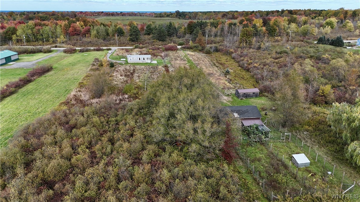 5343 Berry Road Pomfret, NY 14063 - Photo 43 of 46