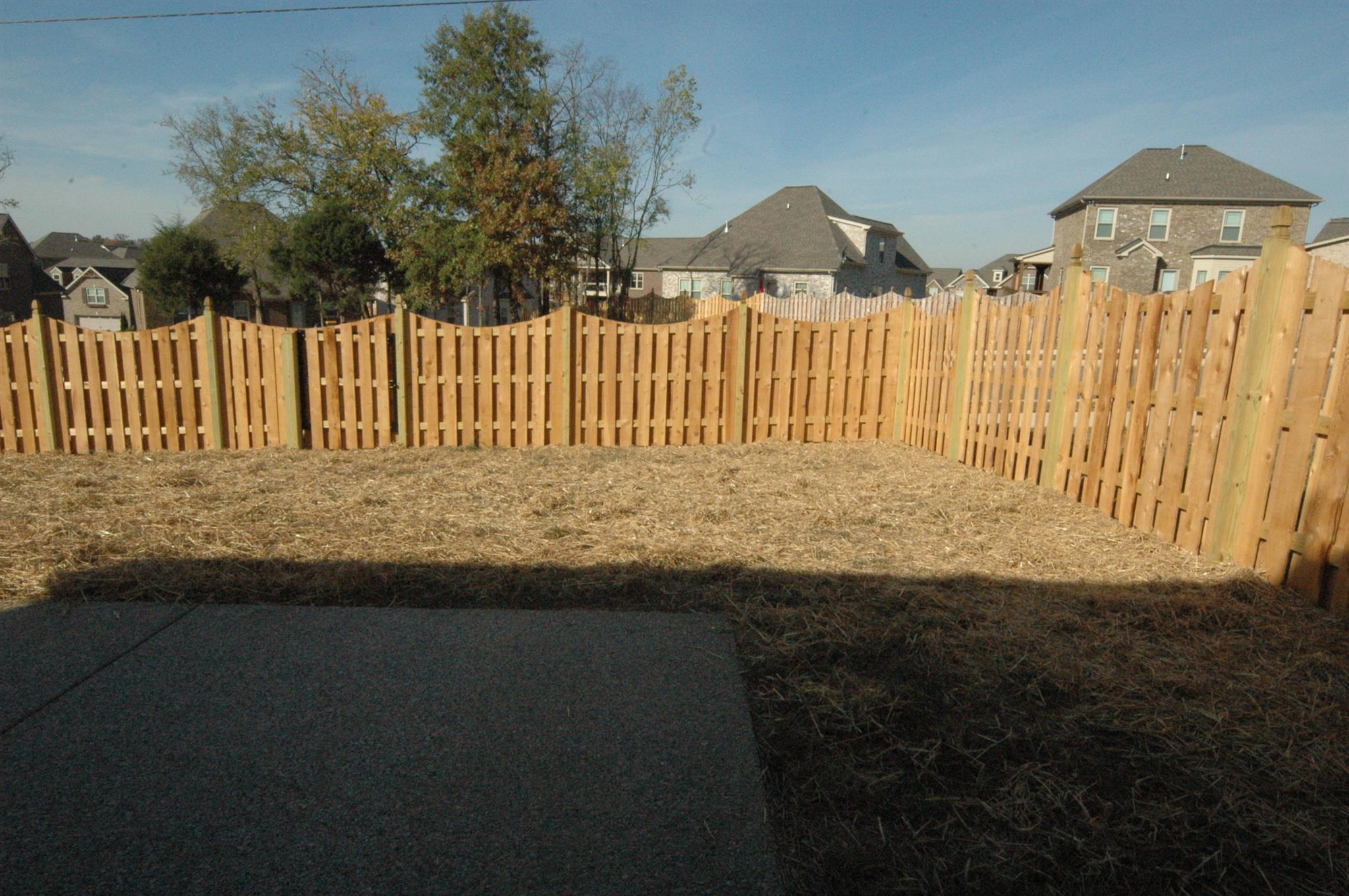 8011 Ragusa Circle Spring Hill, TN 37174 - Photo 3 of 16 Gallery Image 3