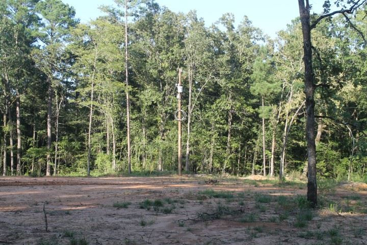 158 Fox Run Road, Unit NONE Canton, MS 39046 - Photo 13 of 16 Photo 14