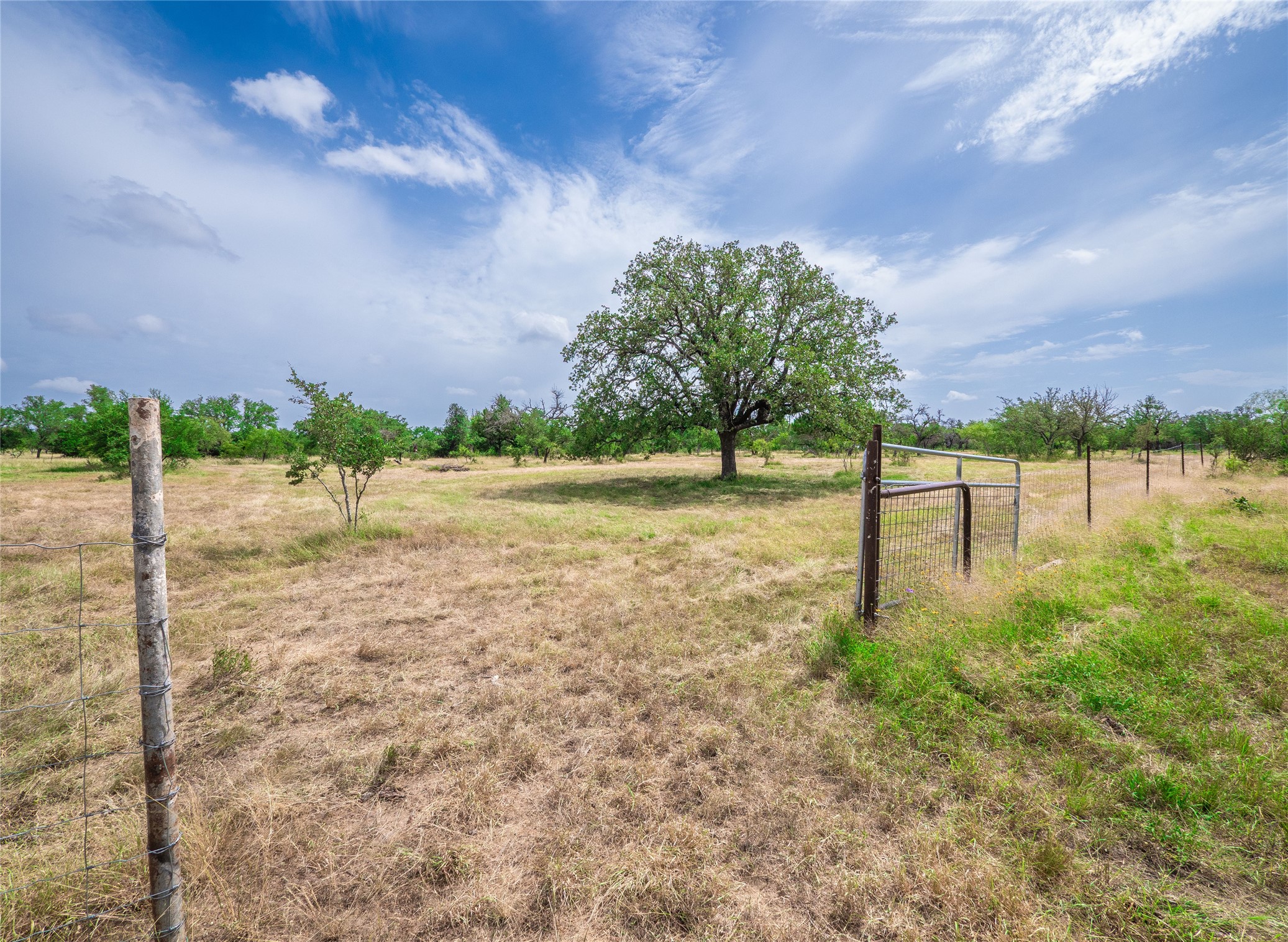 Tbd Winnie Smith Road Round Mountain, TX 78663 - Photo 6 of 30 a view of a yard