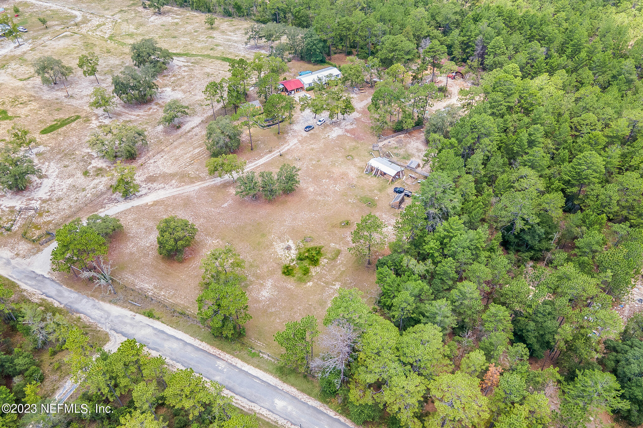 7730 Ranchette Road Keystone Heights, FL 32656 - Photo 26 of 30 a view of a flower arrangement in backyard