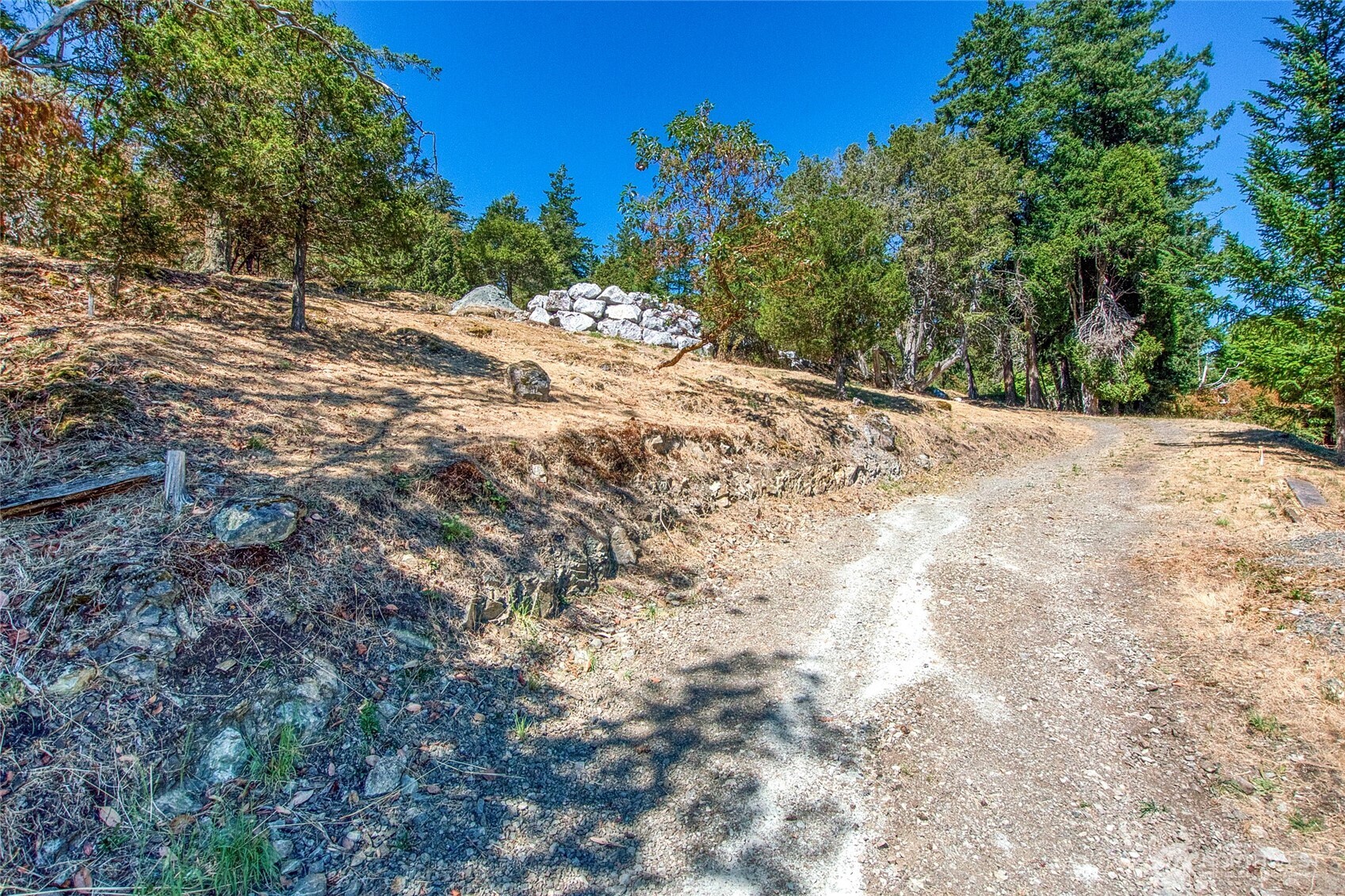 1024 Deer Harbor Road Orcas Island, WA 98245 - Photo 4 of 12