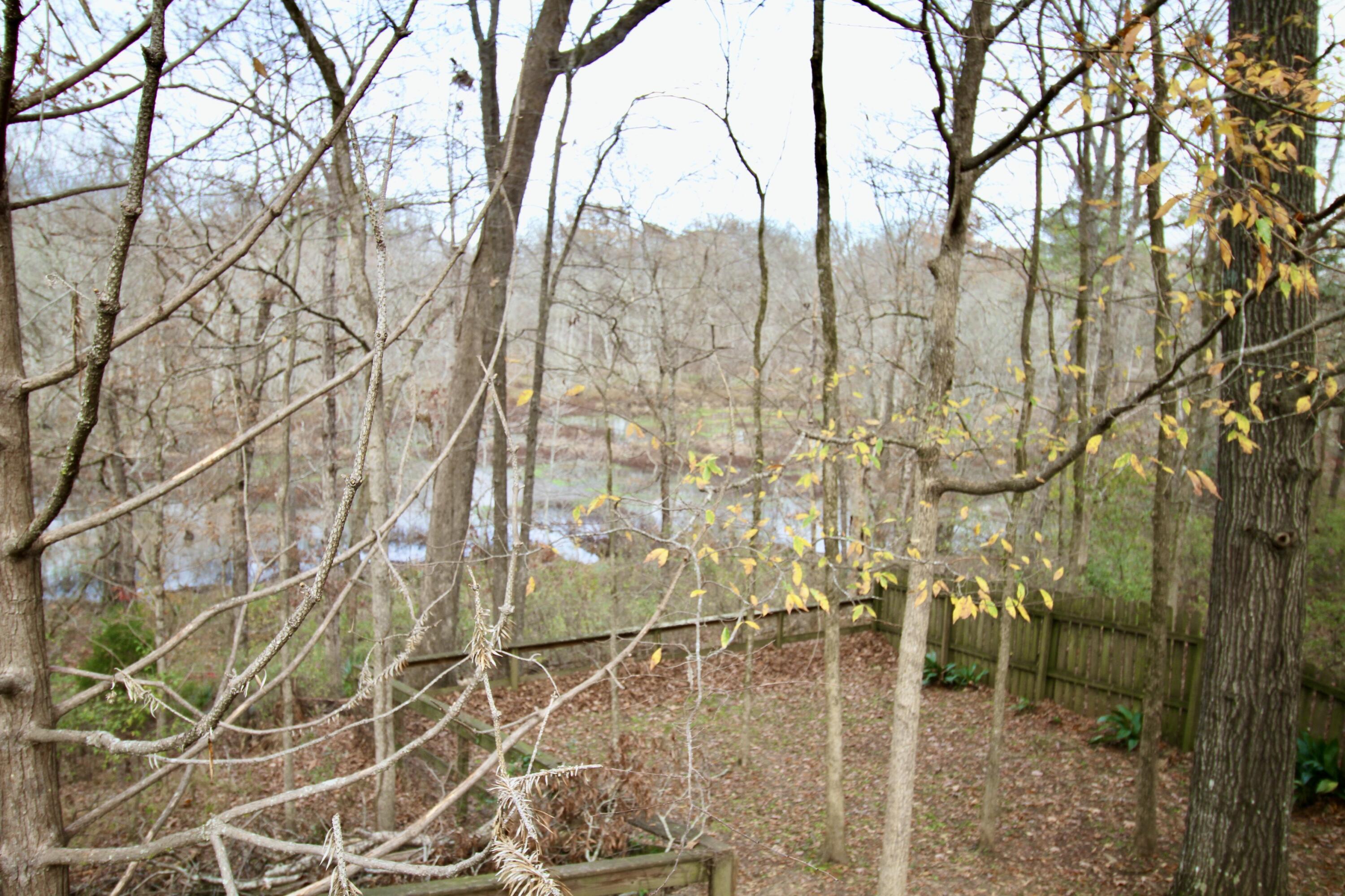 2018 Rivershyre Drive Evans, GA 30809 - Photo 61 of 63 IMG_1725