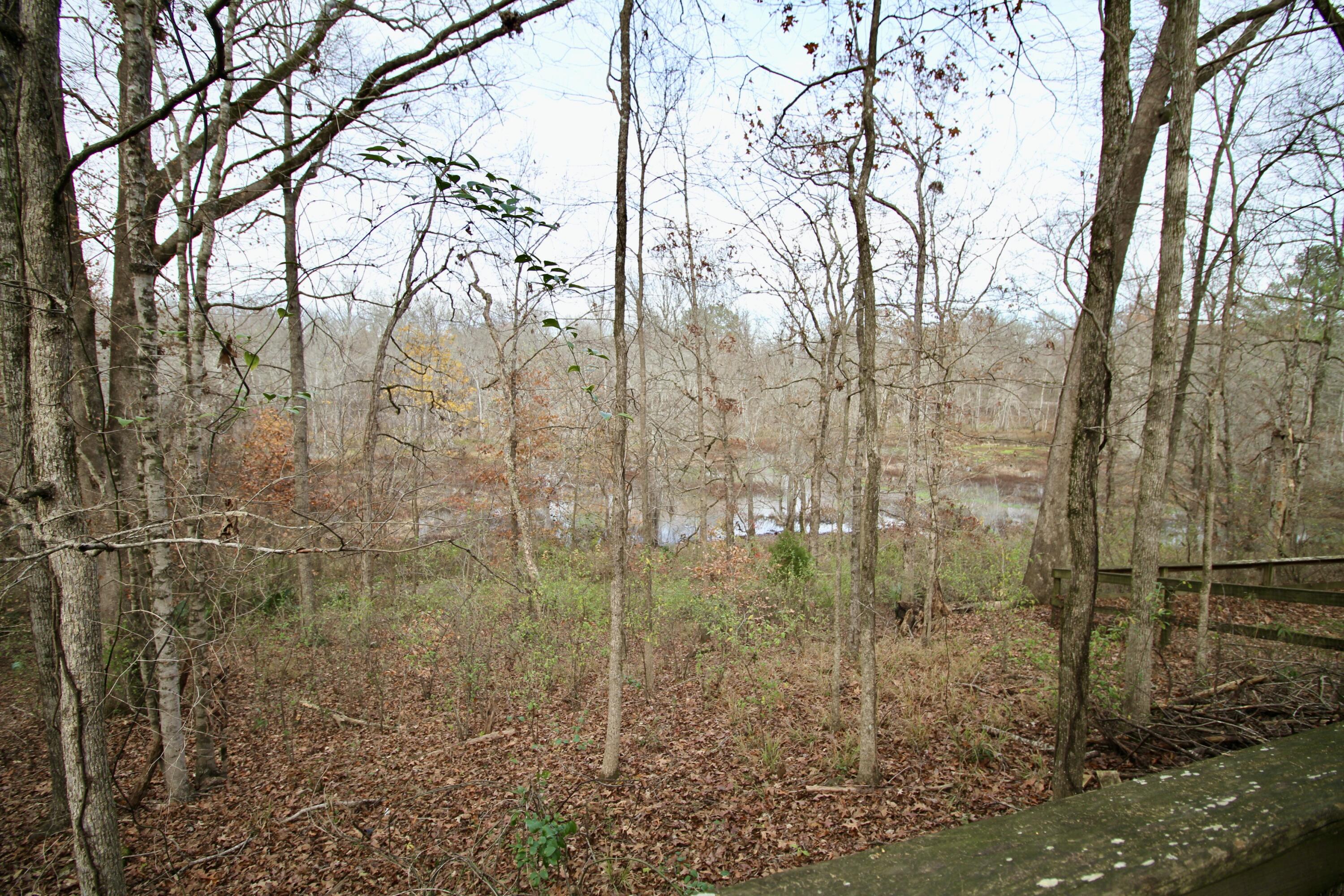 2018 Rivershyre Drive Evans, GA 30809 - Photo 62 of 63 IMG_1719