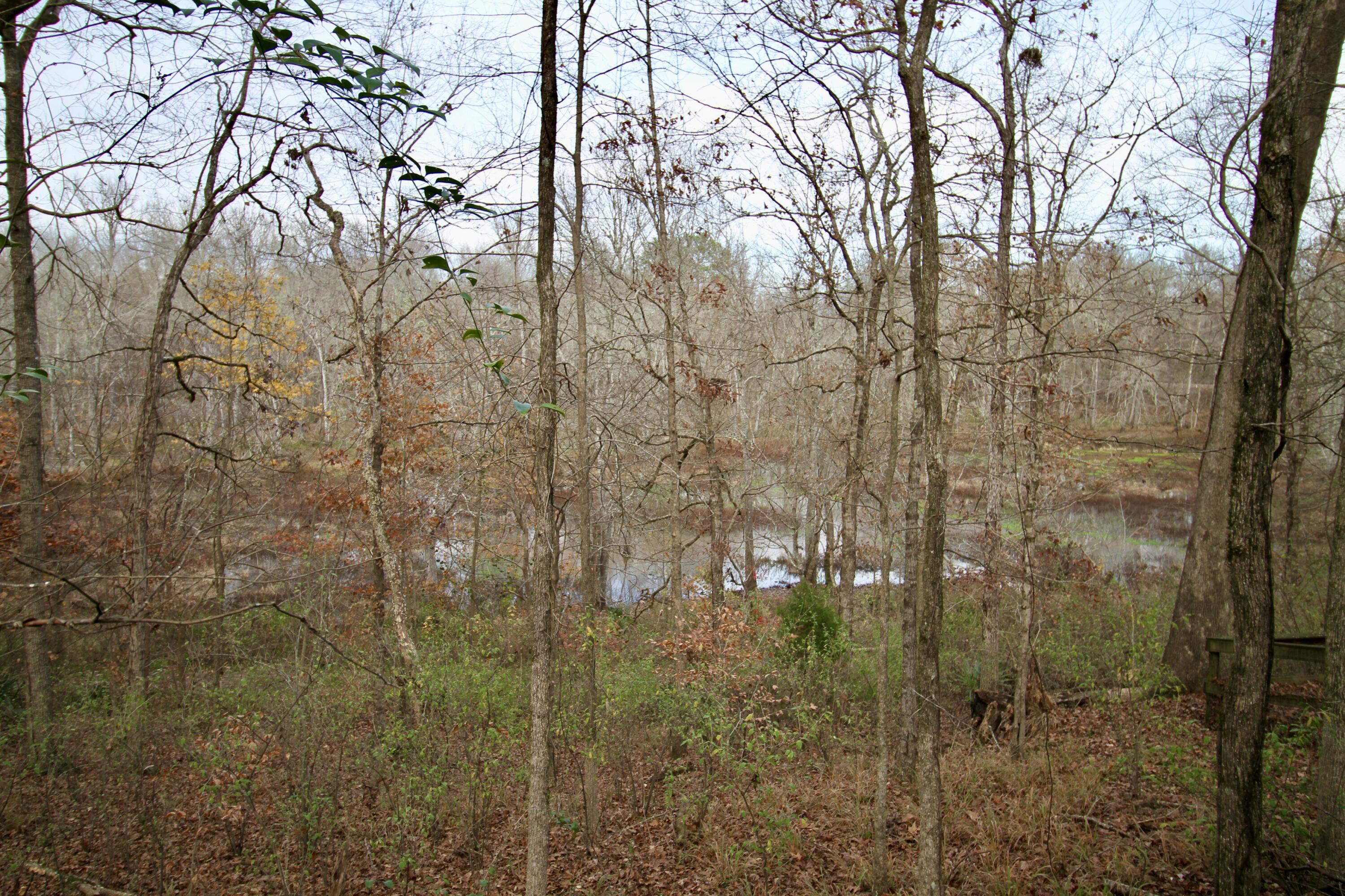 2018 Rivershyre Drive Evans, GA 30809 - Photo 63 of 63 IMG_1718