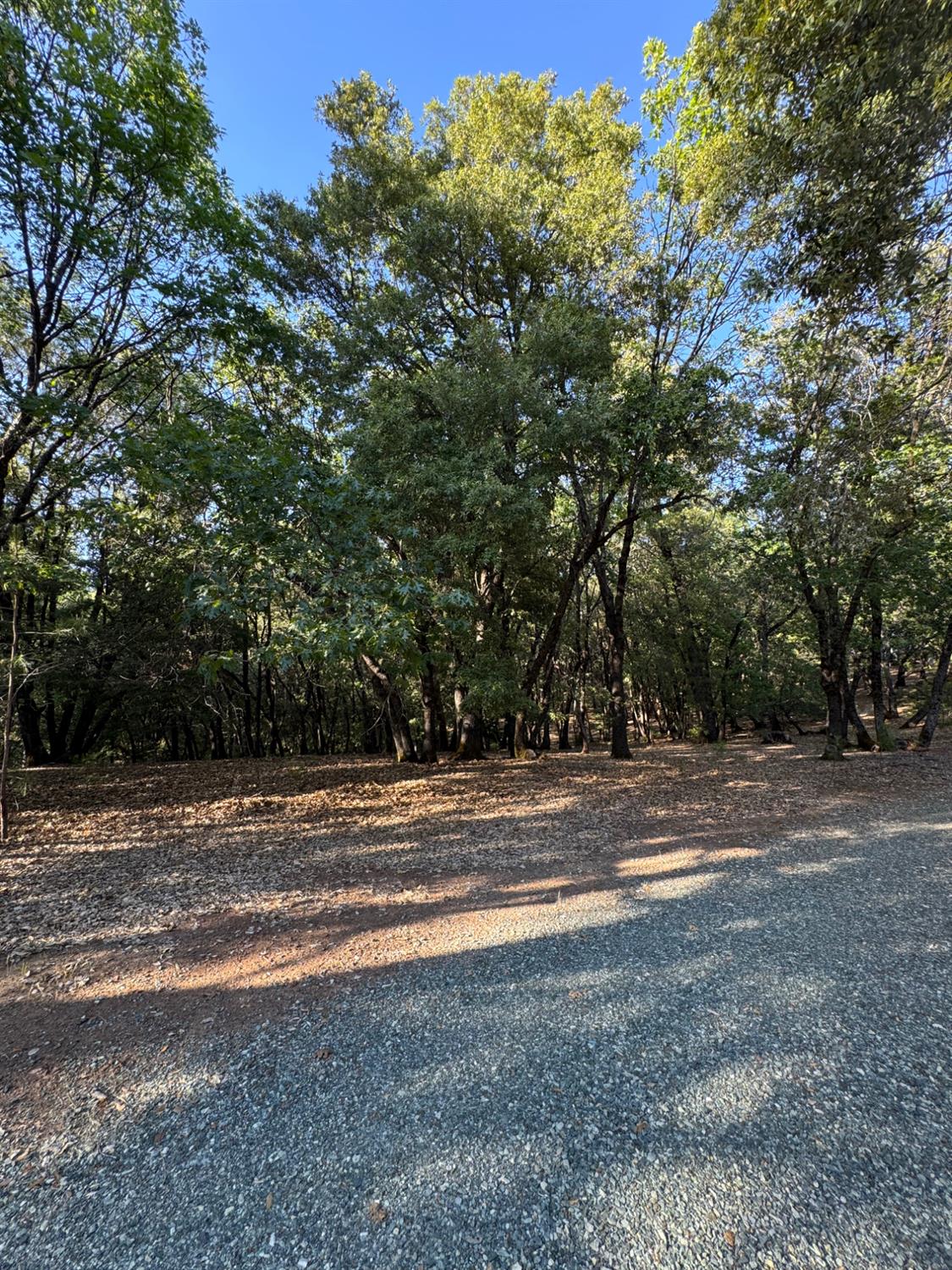14577 Andrews Road Pine Grove, CA 95665 - Photo 21 of 37 a view of a yard with basketball court