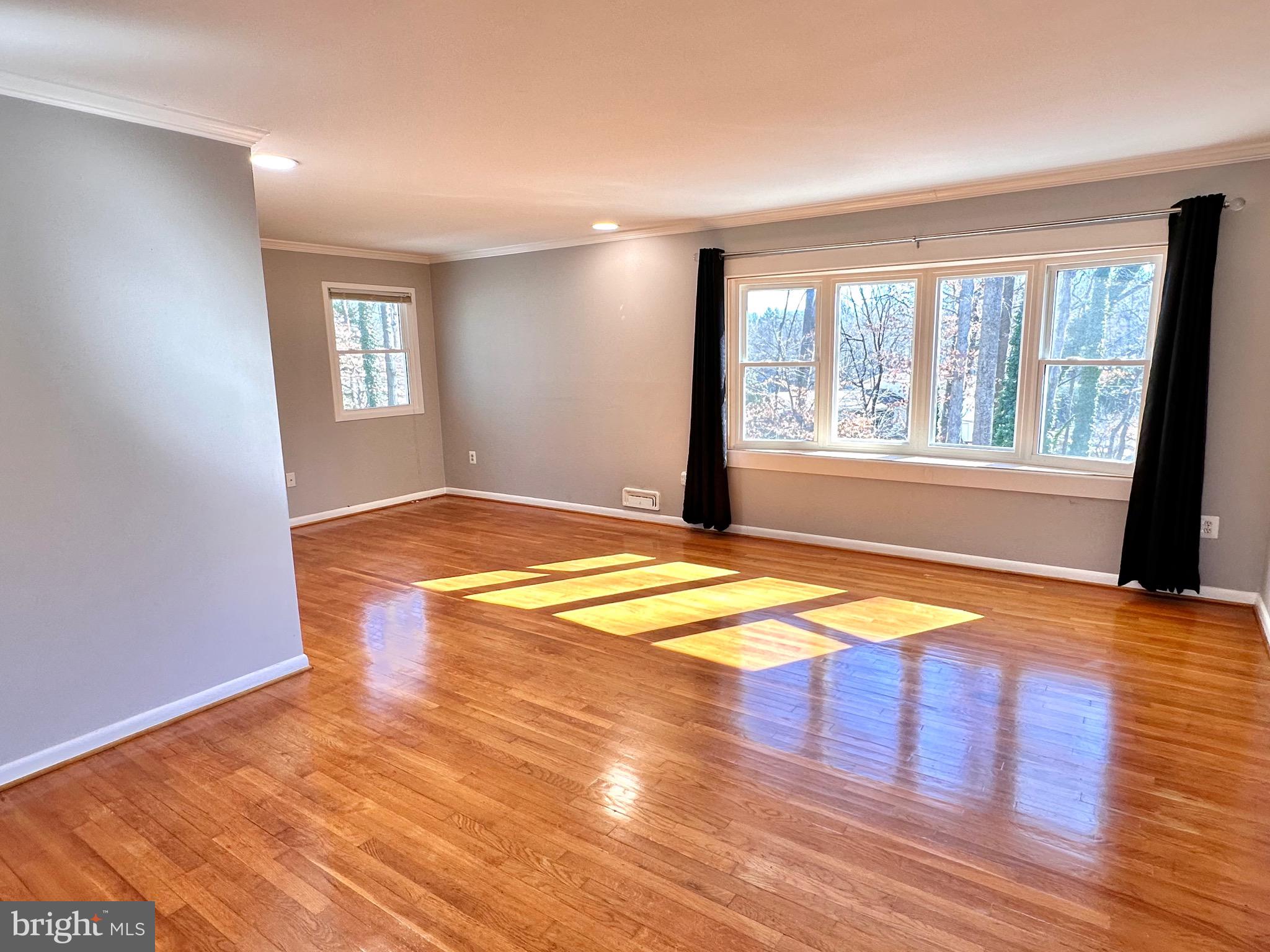 6316 Gormley Place Springfield, VA 22152 - Photo 2 of 28