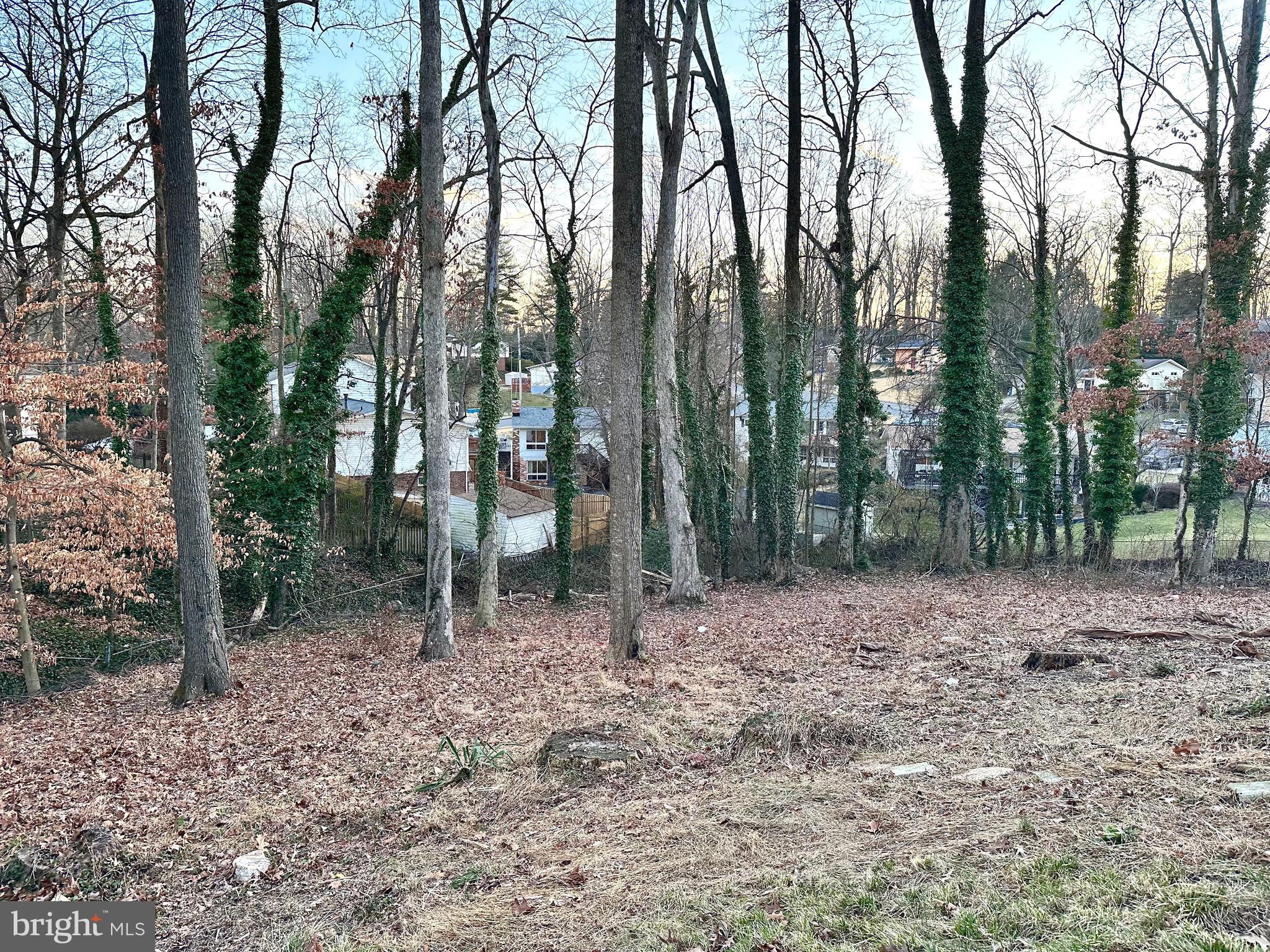 6316 Gormley Place Springfield, VA 22152 - Photo 28 of 28