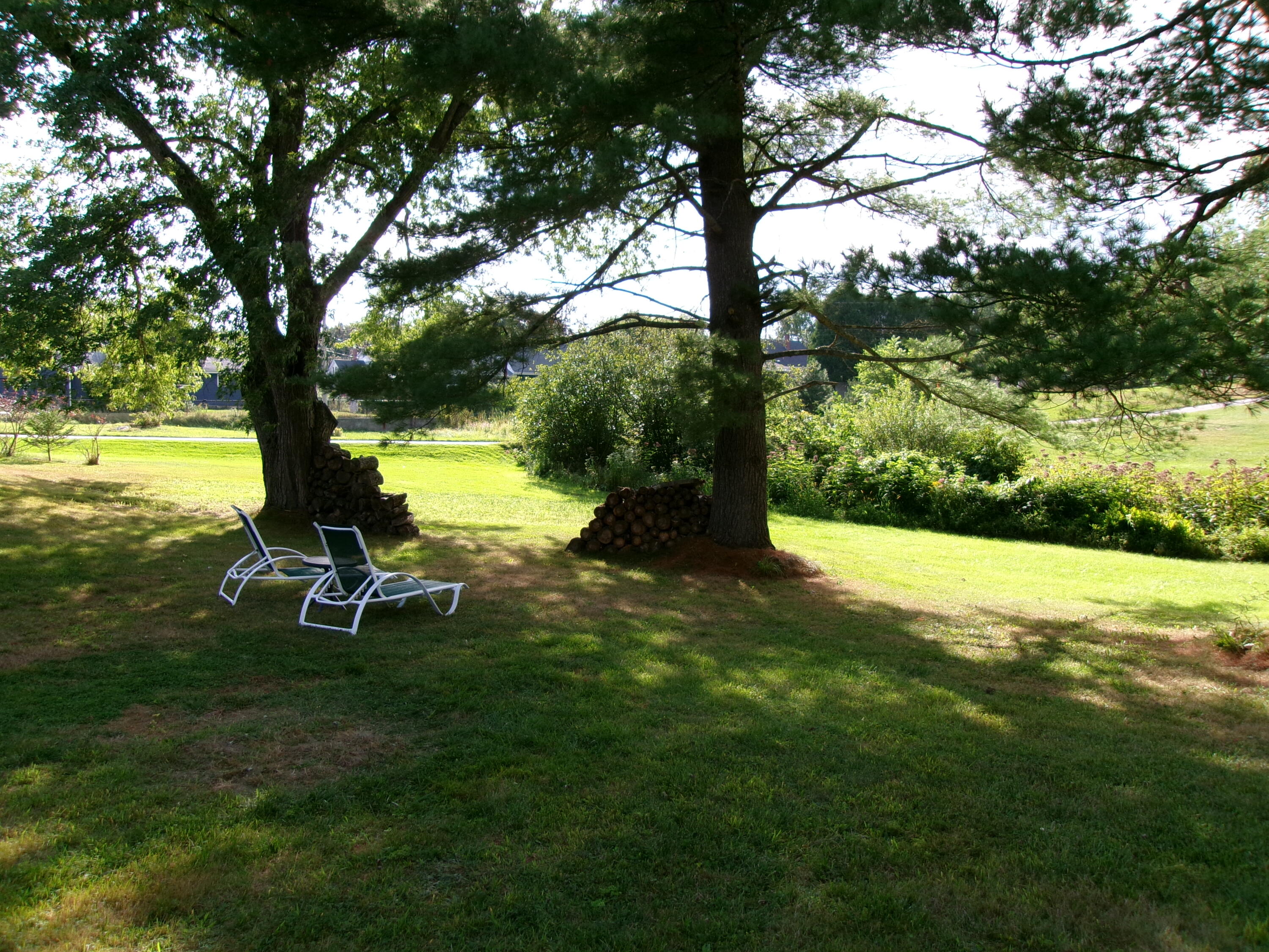 140 Hogan Road Lewiston, ME 04240 - Photo 58 of 63 Nice yard.