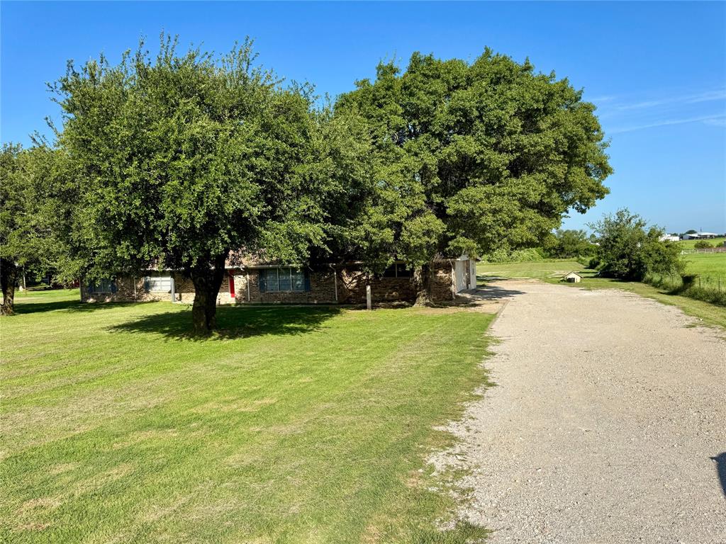 4170 Farm To Market 51 Decatur, TX 76234 - Photo 8 of 34 a view of a yard with a tree