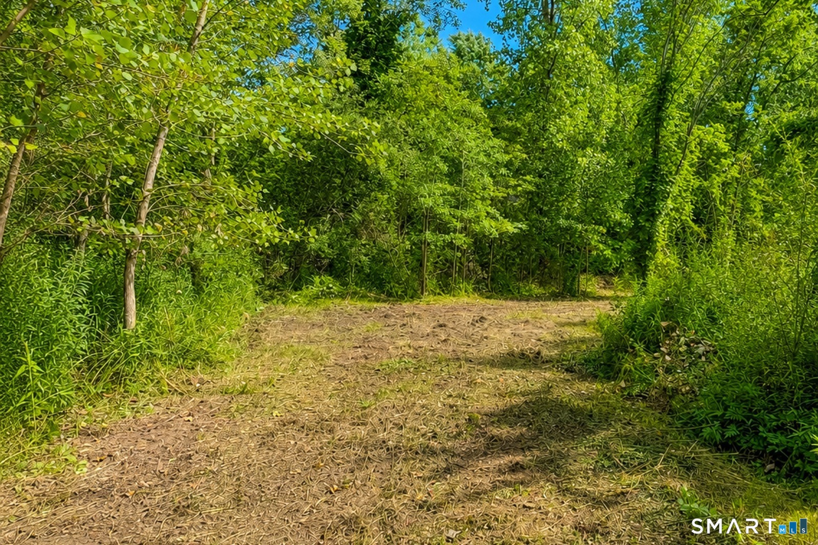 3 Hall Road Hebron, CT 06248 - Photo 17 of 19 Gallery Image 17