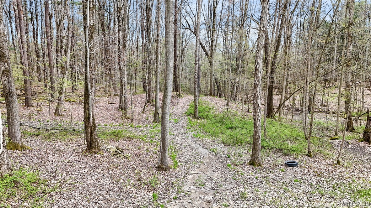 9388 Council House Road Caneadea, NY 14717 - Photo 17 of 32