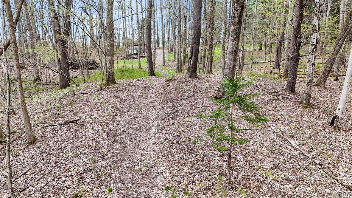 9388 Council House Road Caneadea, NY 14717 - Photo 18 of 32
