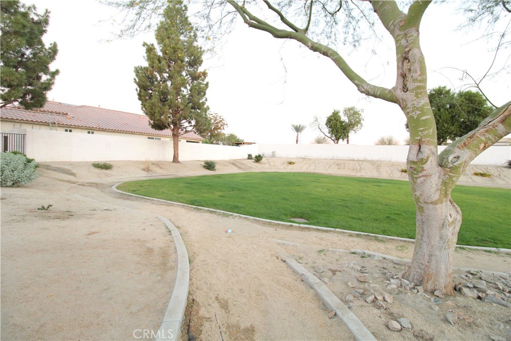 0 San Rey Drive Coachella, CA 92236 - Photo 11 of 14 a view of a yard with an tree and plants