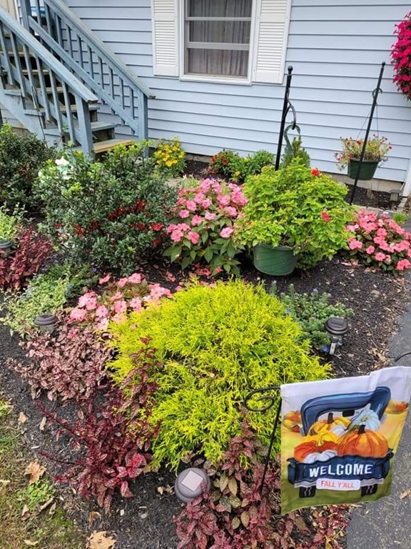313 Hadley Road Sunderland, MA 01375 - Photo 34 of 40 a plant that is in front of flowers