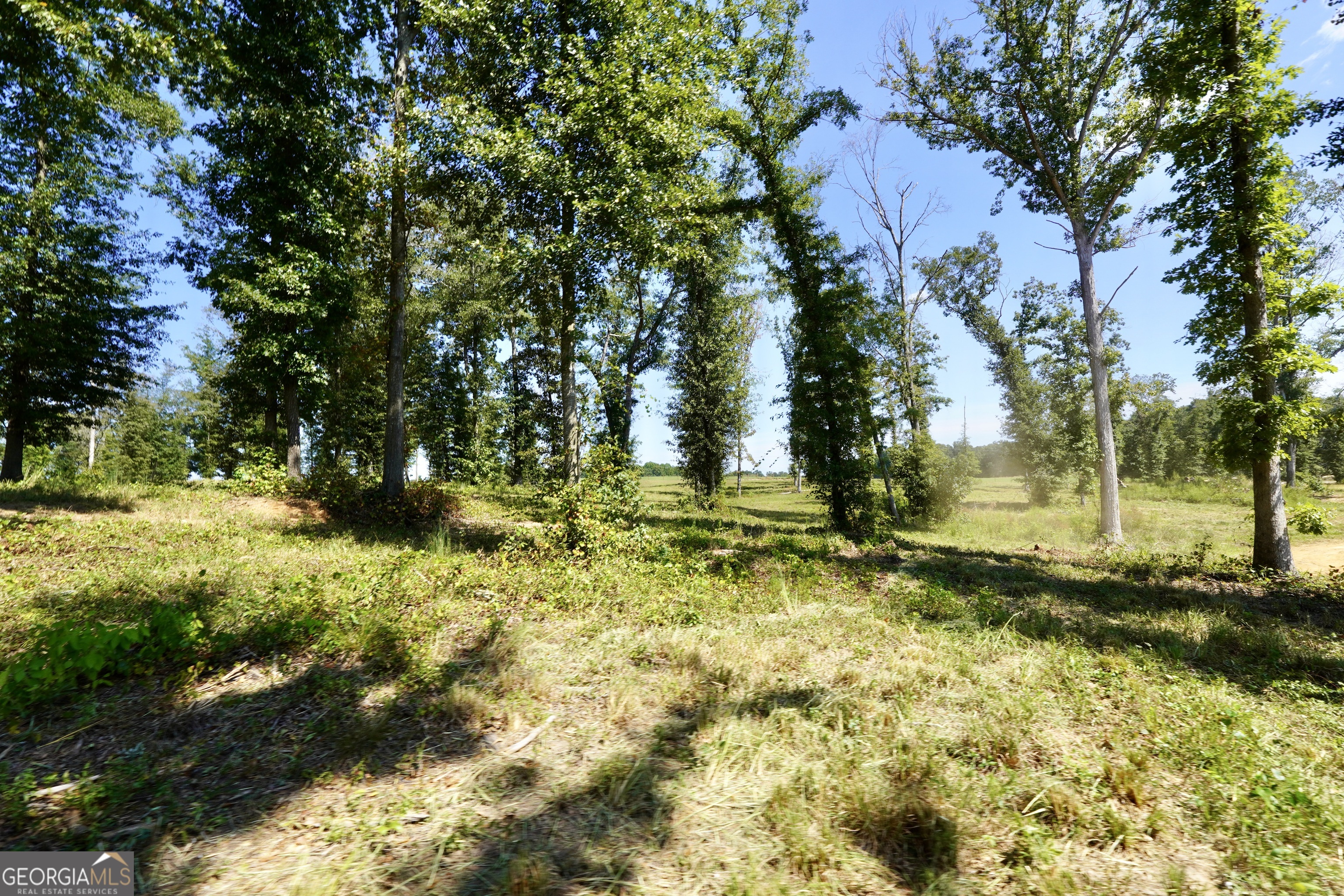 0 Walters Road Barnesville, GA 30204 - Photo 5 of 13