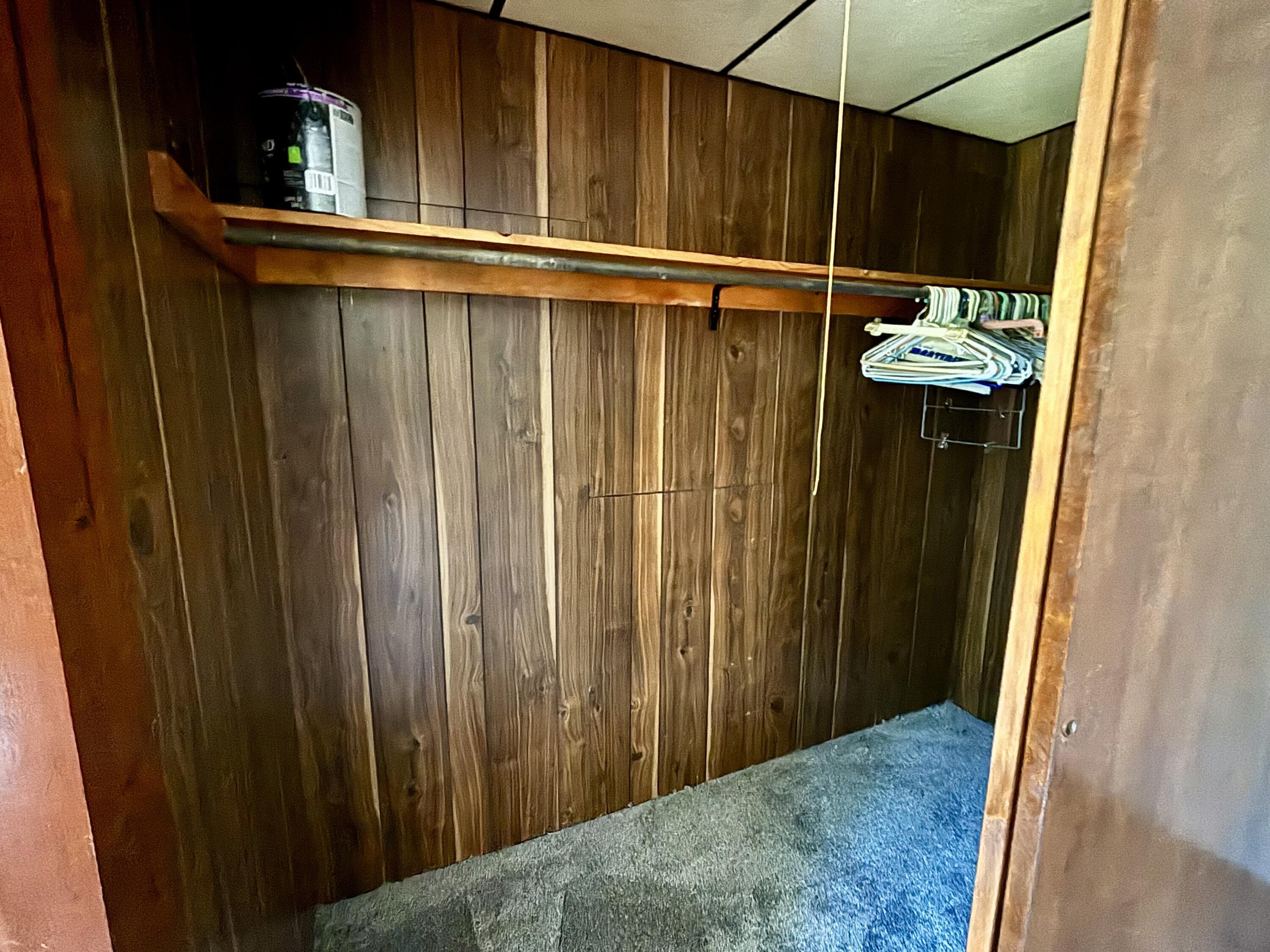 2594 South Forman Road Baldwin, MI 49304 - Photo 18 of 28 Master closet