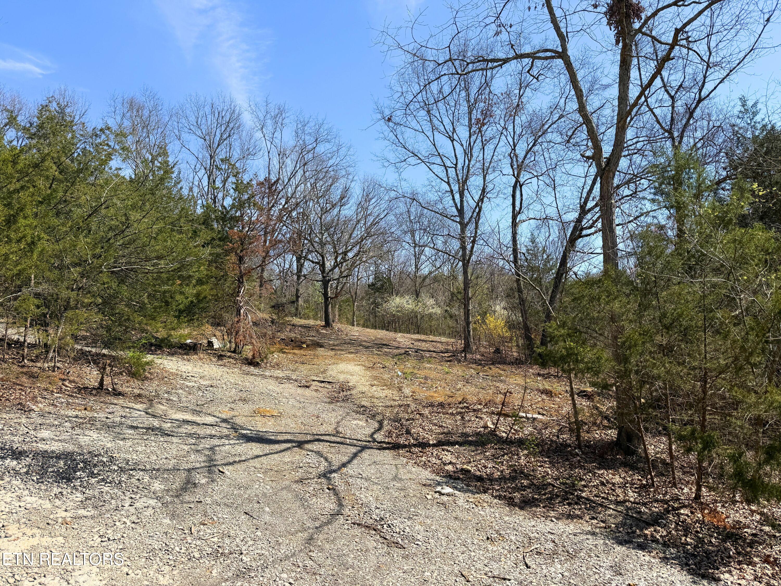 137 Watt Road Sweetwater, TN 37874 - Photo 13 of 15 17