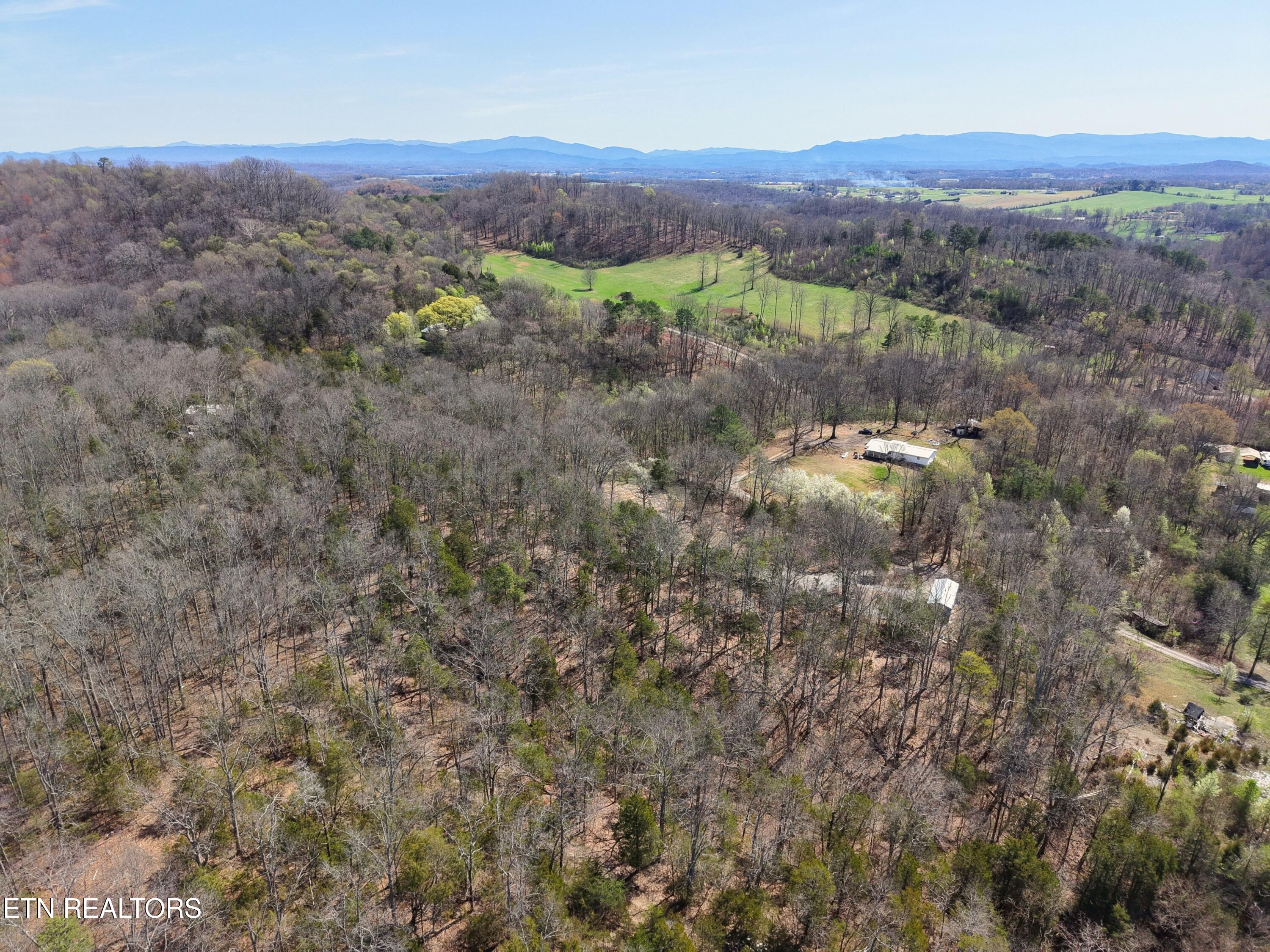 137 Watt Road Sweetwater, TN 37874 - Photo 4 of 15 4
