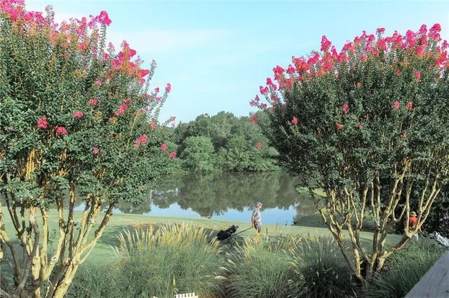 a view of front of a house with a garden