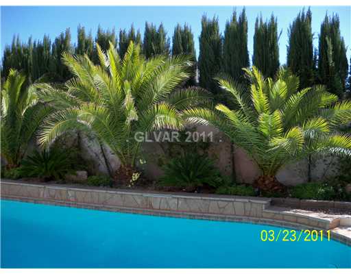 268 Violet Note Street Henderson, NV 89074 - Photo 6 of 20 Swimming Pool/Hot Tub/Sauna.