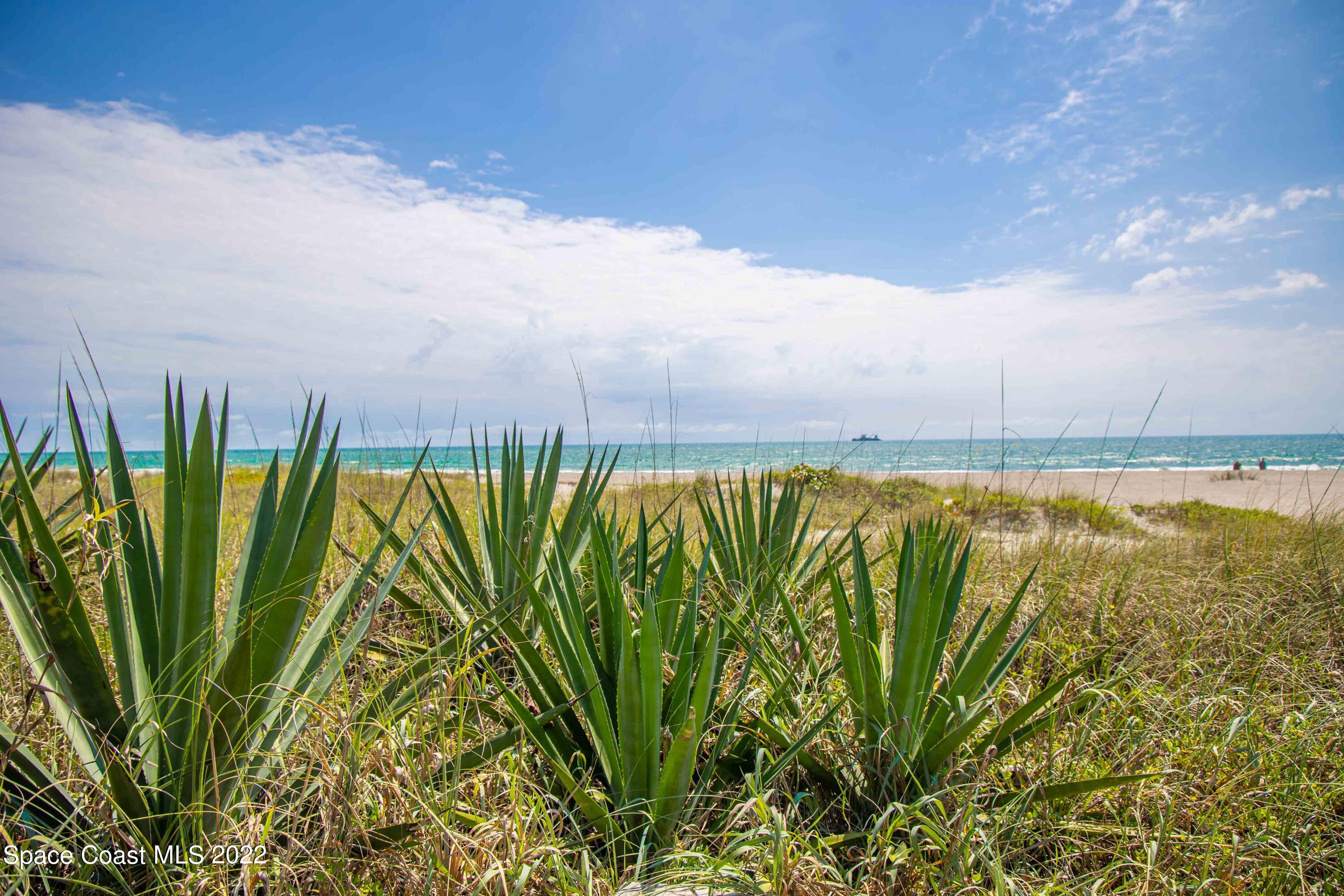 6770 Ridgewood Avenue, Unit 1001 Cocoa Beach, FL 32931 - Photo 52 of 57 a view of a street with a yard