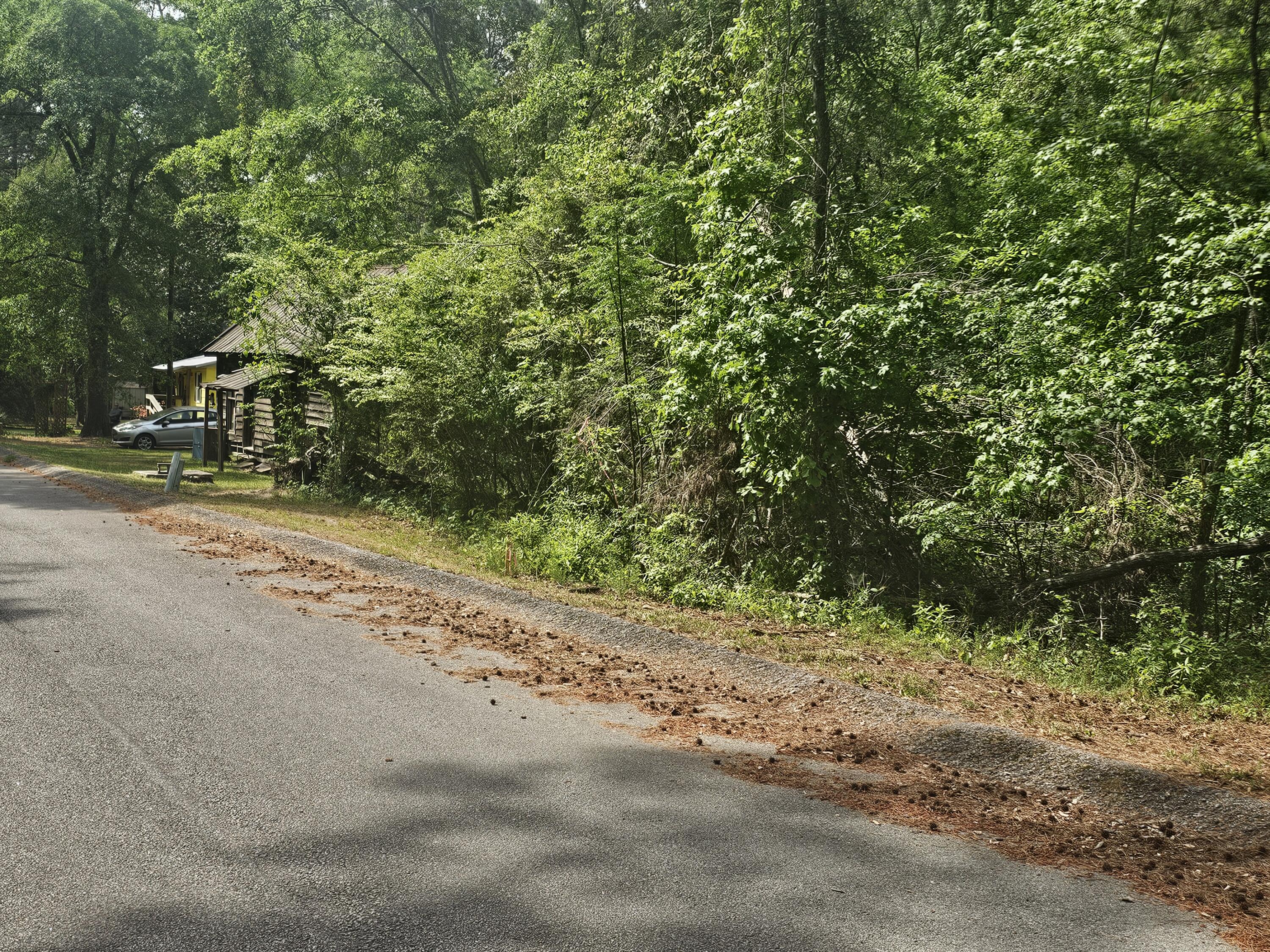 1262 Miles Road Harlem, GA 30814 - Photo 3 of 7 1000054669