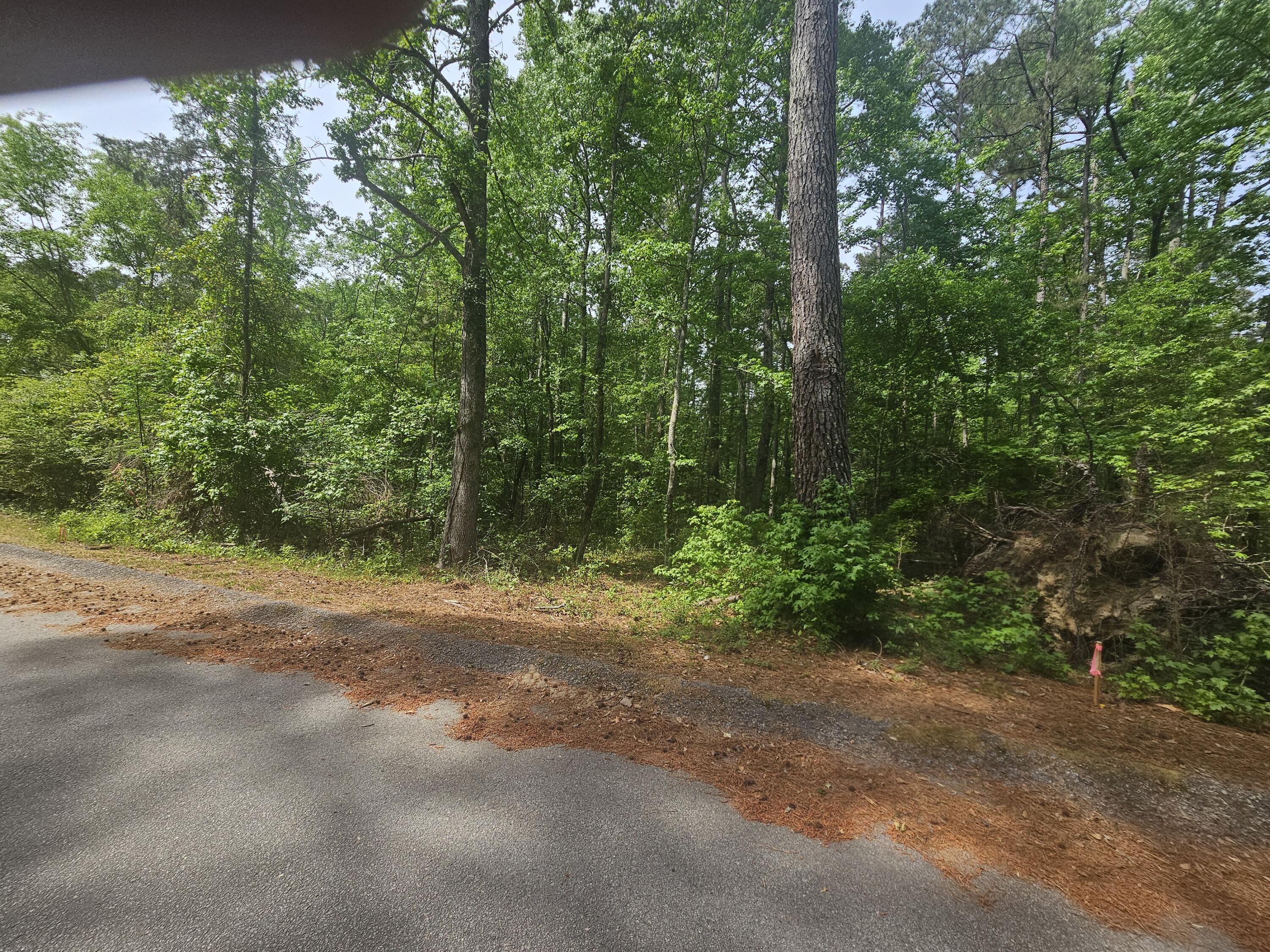 1262 Miles Road Harlem, GA 30814 - Photo 7 of 7 1000054664