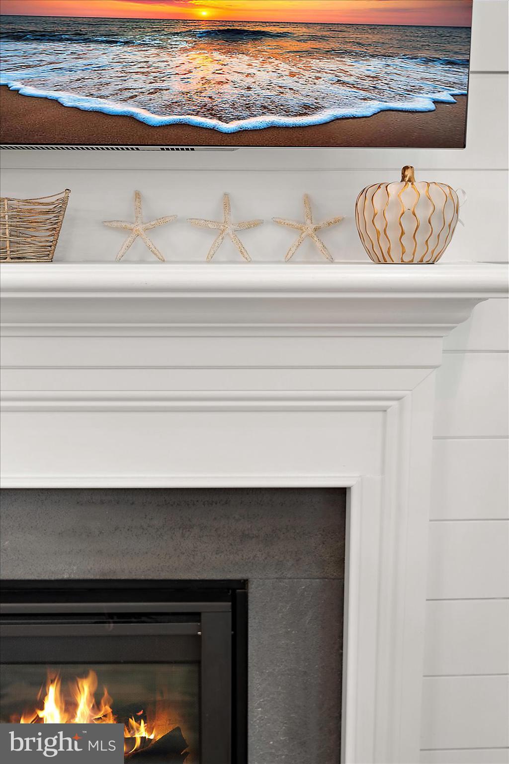 11271 Hall Road Lewes, DE 19958 - Photo 8 of 134 a close view of fireplace