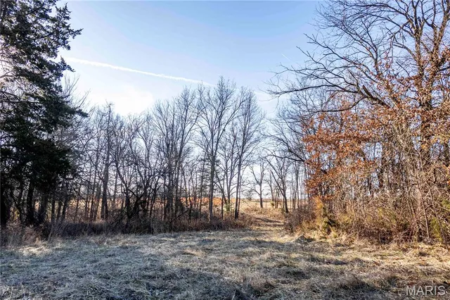 $1 | 0 Pike 49, Frankford, MO 63441