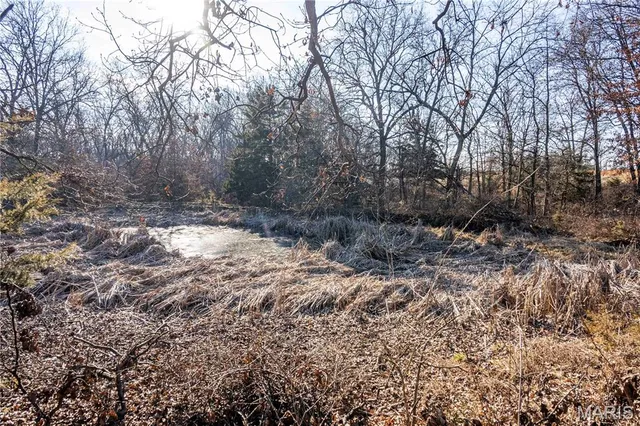 $1 | 0 Pike 49, Frankford, MO 63441