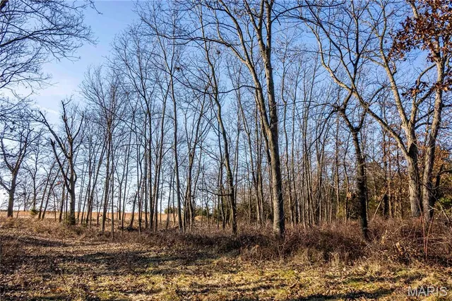 $1 | 0 Pike 49, Frankford, MO 63441