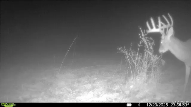 $1 | 0 Pike 49, Frankford, MO 63441