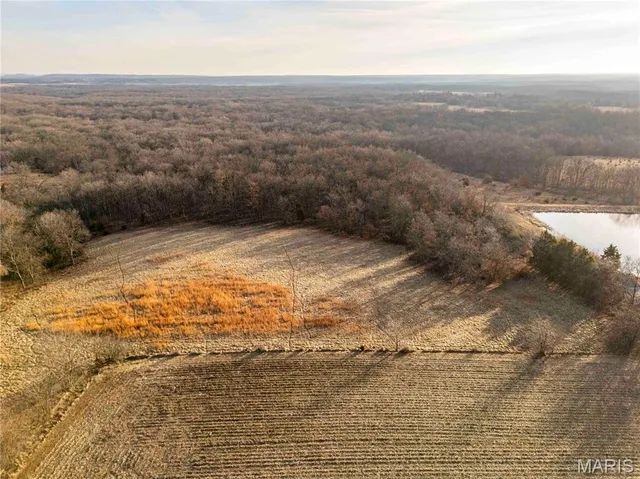 $1 | 0 Pike 49, Frankford, MO 63441