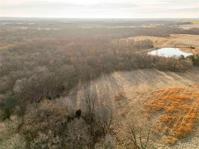 $1 | 0 Pike 49, Frankford, MO 63441