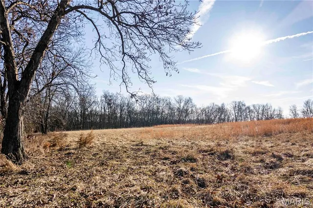 $1 | 0 Pike 49, Frankford, MO 63441