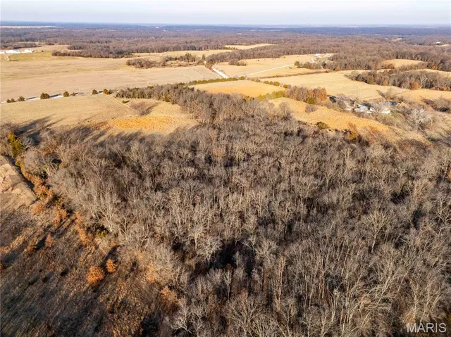 $1 | 0 Pike 49, Frankford, MO 63441