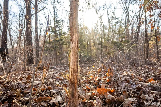 $1 | 0 Pike 49, Frankford, MO 63441