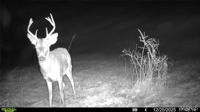 $1 | 0 Pike 49, Frankford, MO 63441