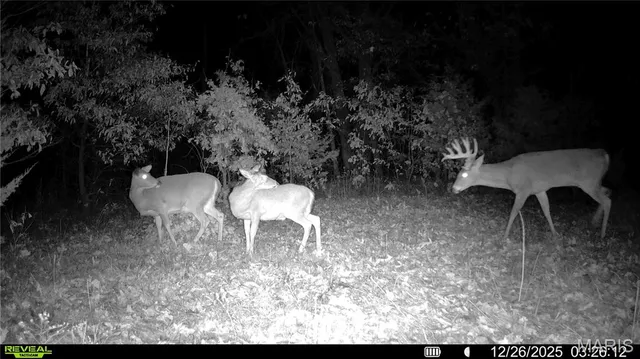 $1 | 0 Pike 49, Frankford, MO 63441