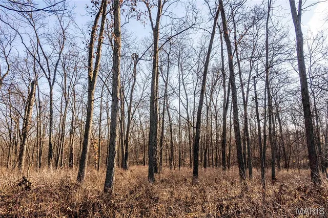 $1 | 0 Pike 49, Frankford, MO 63441